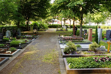 Buschdorf