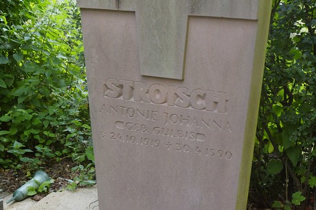 Buschdorf