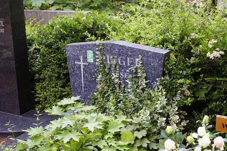 Buschdorf