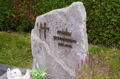 Buschhoven