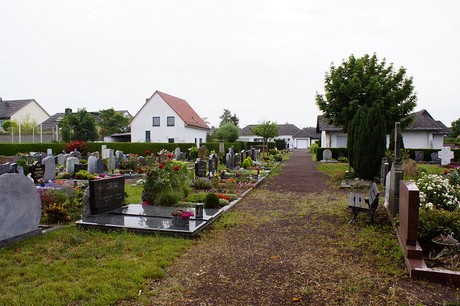 Buschhoven