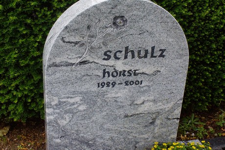 Buschhoven
