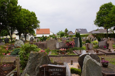 Buschhoven