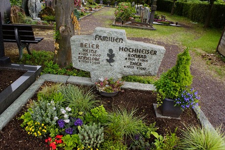Buschhoven