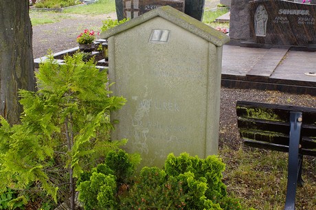 Buschhoven