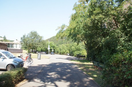 bad-muenster