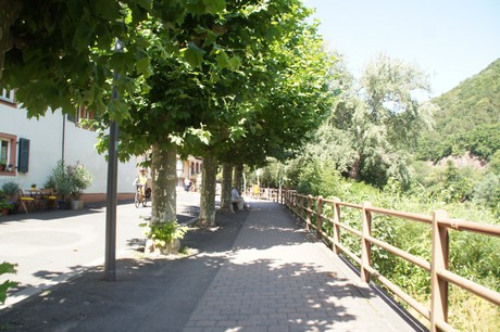 bad-muenster