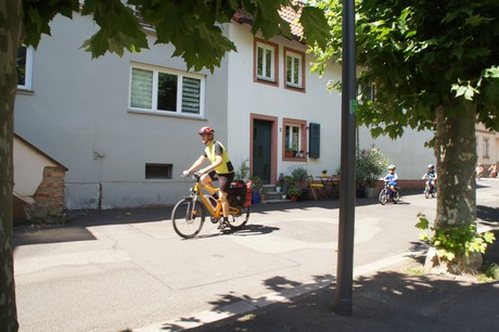 bad-muenster