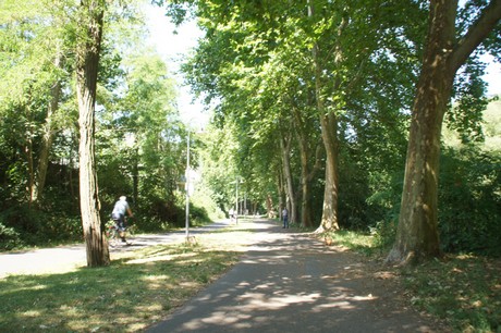 bad-muenster
