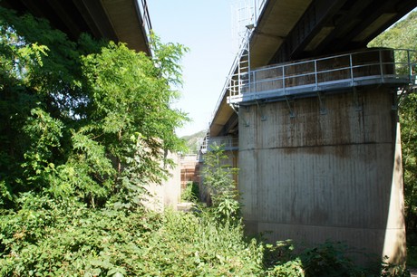 bad-muenster