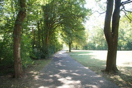 bad-muenster