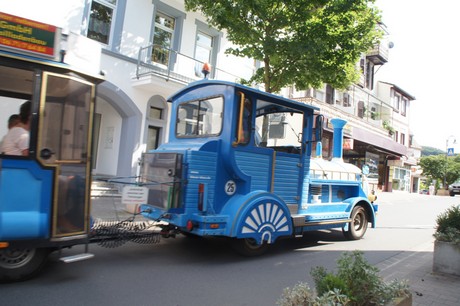 bad-muenster