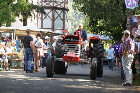 bad-muenster