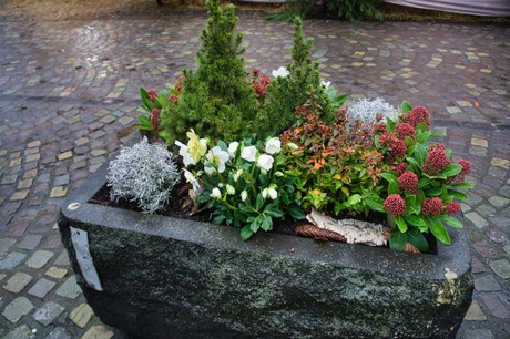 bad-muenstereifel