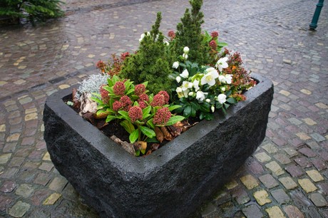 bad-muenstereifel