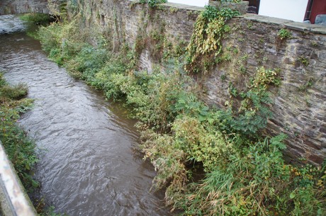 bad-muenstereifel