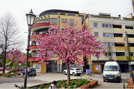 bad-neuenahr-ahrweiler