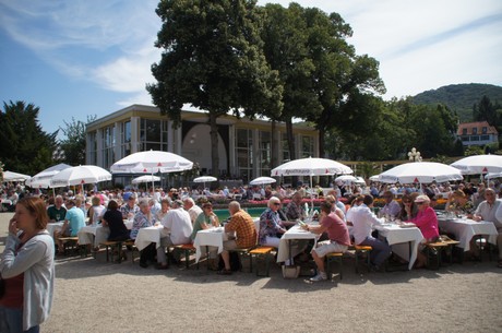 koechemarkt
