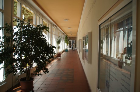koechemarkt