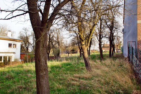 badorf