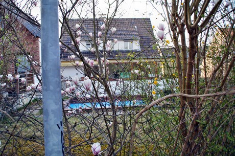 badorf