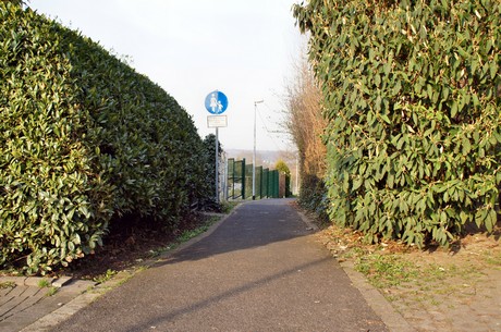 badorf