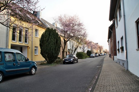 badorf