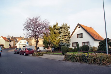 badorf