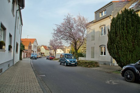 badorf