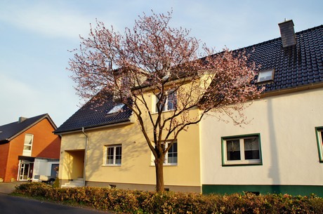 badorf