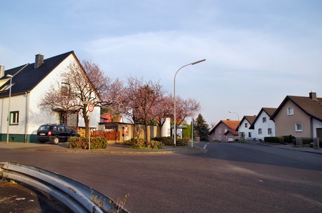 badorf