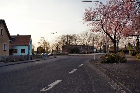 badorf