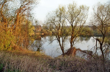 badorf