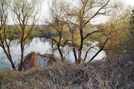 badorf