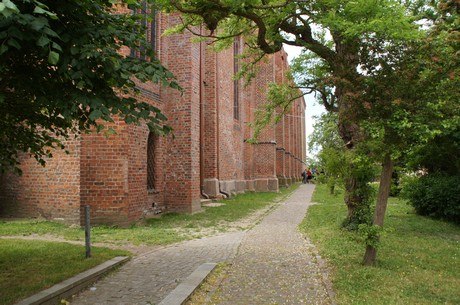 barth