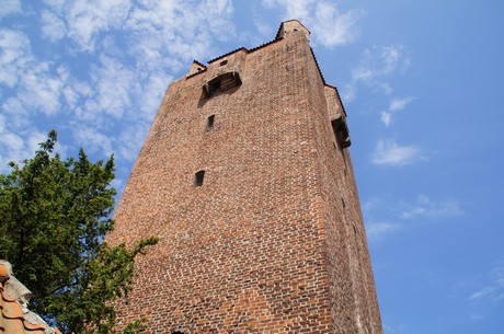 barth
