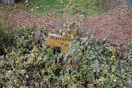 Bedburg
