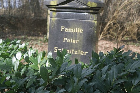 Bedburg