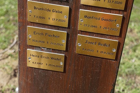 Bedburg