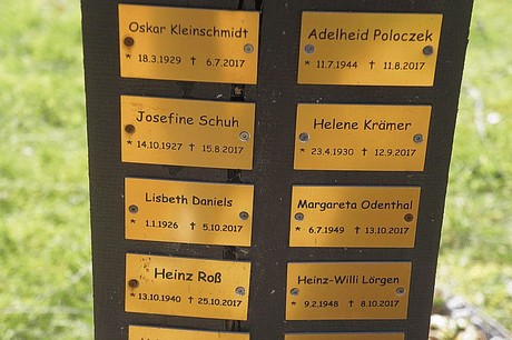 Bedburg