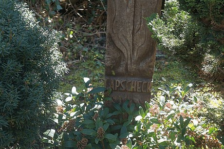 Bedburg