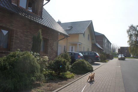 bedburg