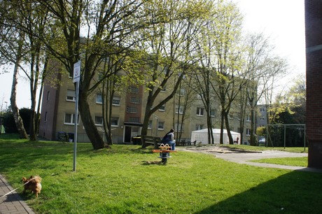 bedburg