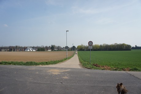 bedburg