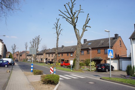 bedburg