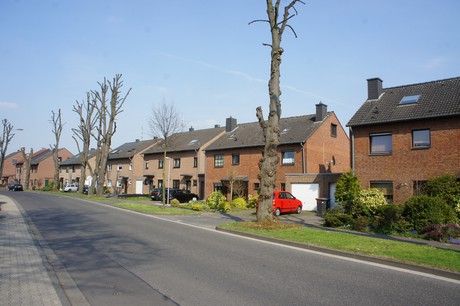 bedburg