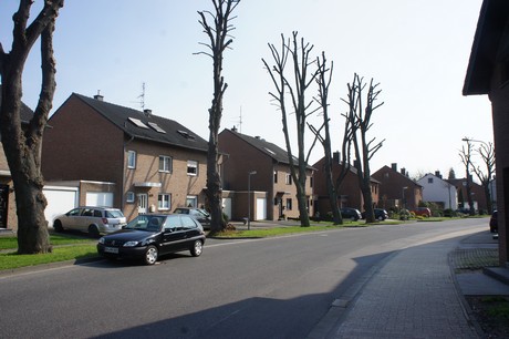 bedburg