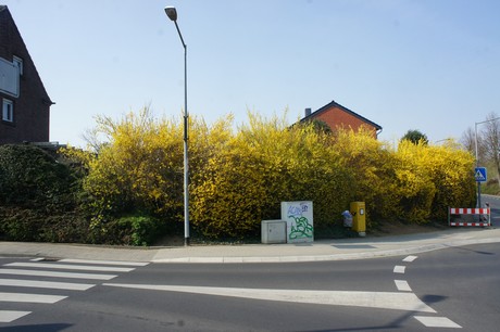 bedburg