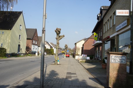 bedburg