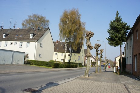 bedburg